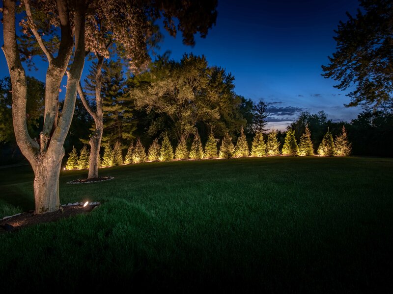backyard tree landscape lighting
